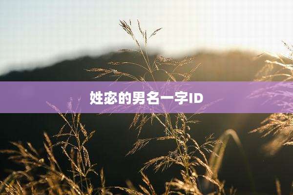 姓宓的男名一字ID