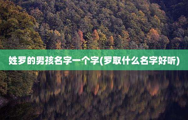 姓罗的男孩名字一个字(罗取什么名字好听)