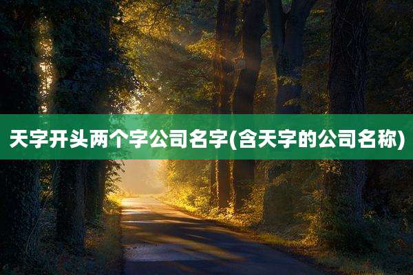 天字开头两个字公司名字(含天字的公司名称)