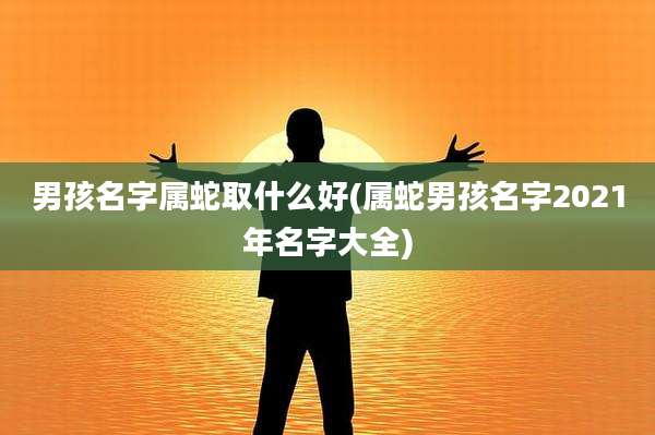 男孩名字属蛇取什么好(属蛇男孩名字2021年名字大全)