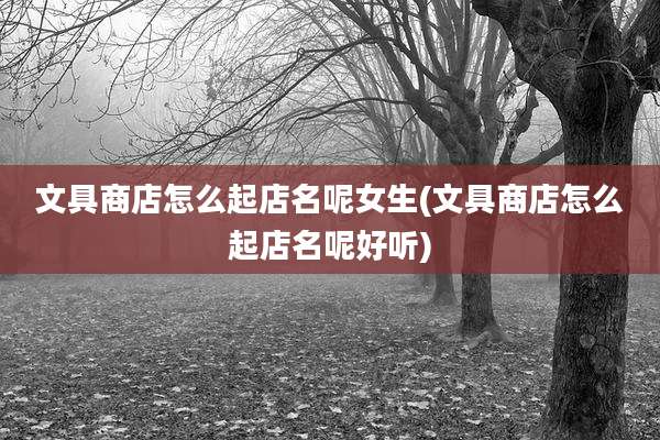 文具商店怎么起店名呢女生(文具商店怎么起店名呢好听)