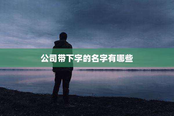 公司带下字的名字有哪些