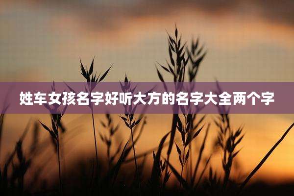 姓车女孩名字好听大方的名字大全两个字