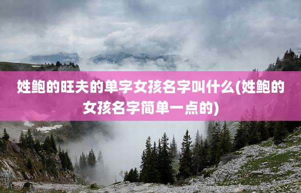姓鲍的旺夫的单字女孩名字叫什么(姓鲍的女孩名字简单一点的)
