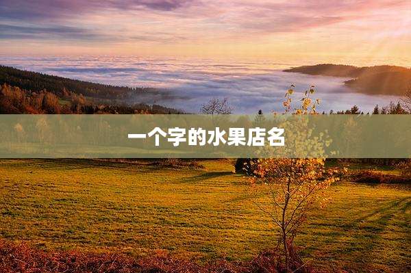 一个字的水果店名