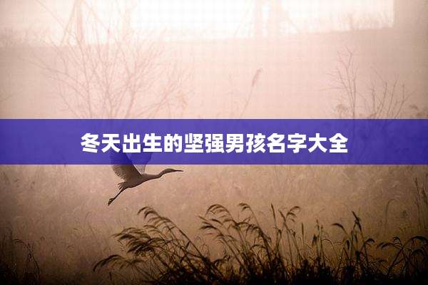 冬天出生的坚强男孩名字大全