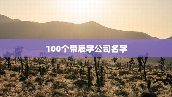 100个带辰字公司名字