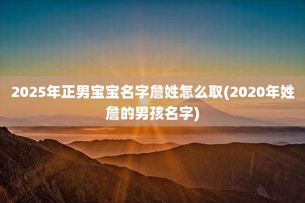 2025年正男宝宝名字詹姓怎么取(2020年姓詹的男孩名字)
