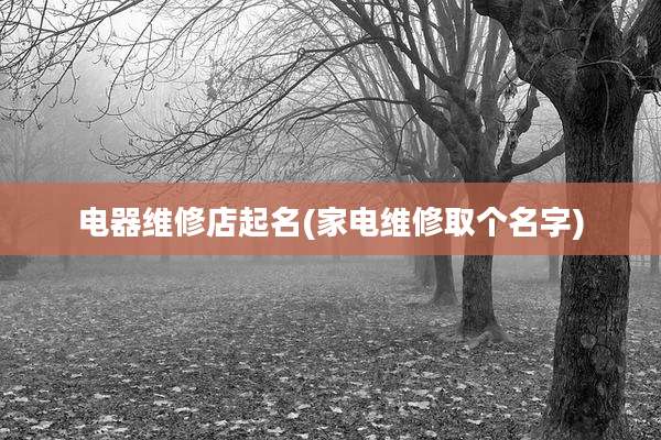 电器维修店起名(家电维修取个名字)