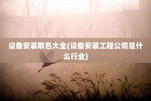 设备安装取名大全(设备安装工程公司是什么行业)