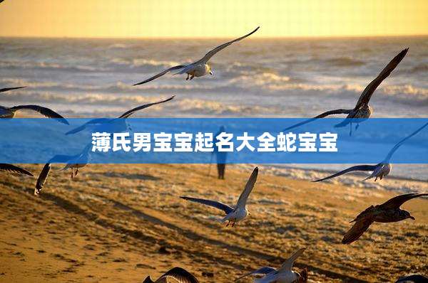 薄氏男宝宝起名大全蛇宝宝