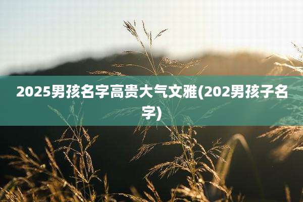 2025男孩名字高贵大气文雅(202男孩子名字)