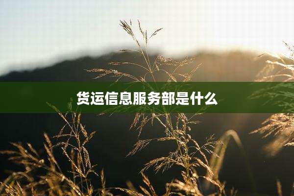 货运信息服务部是什么