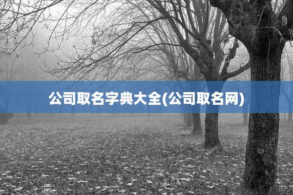 公司取名字典大全(公司取名网)