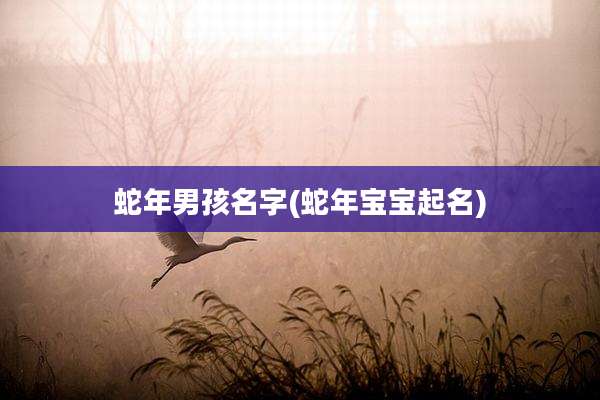 蛇年男孩名字(蛇年宝宝起名)