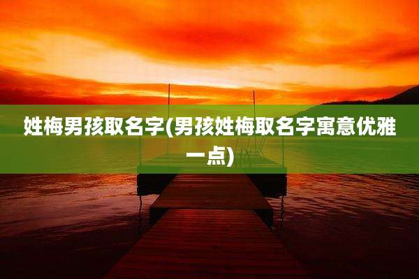姓梅男孩取名字(男孩姓梅取名字寓意优雅一点)