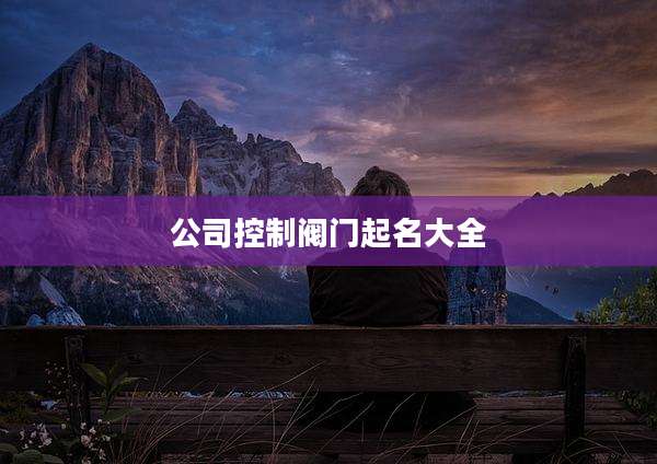 公司控制阀门起名大全