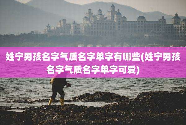 姓宁男孩名字气质名字单字有哪些(姓宁男孩名字气质名字单字可爱)