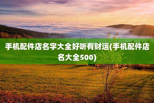 手机配件店名字大全好听有财运(手机配件店名大全500)
