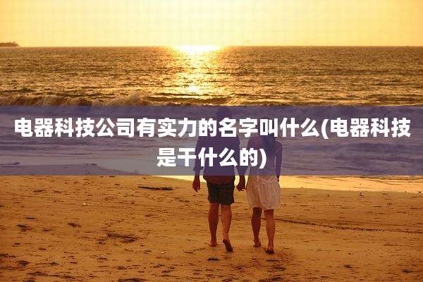 电器科技公司有实力的名字叫什么(电器科技是干什么的)
