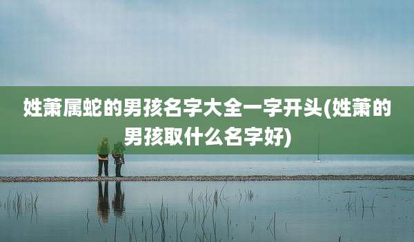 姓萧属蛇的男孩名字大全一字开头(姓萧的男孩取什么名字好)