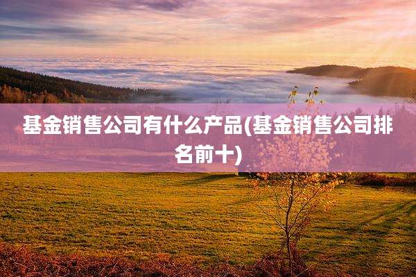 基金销售公司有什么产品(基金销售公司排名前十)