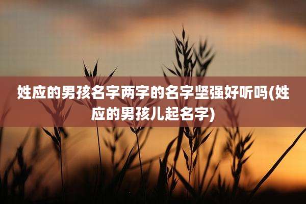 姓应的男孩名字两字的名字坚强好听吗(姓应的男孩儿起名字)