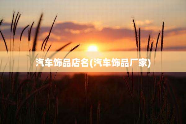 汽车饰品店名(汽车饰品厂家)
