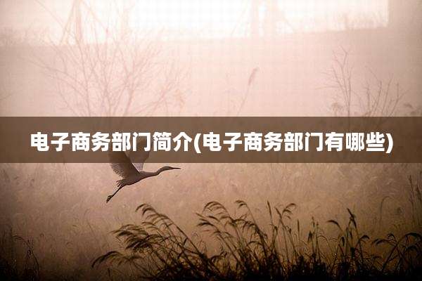 电子商务部门简介(电子商务部门有哪些)
