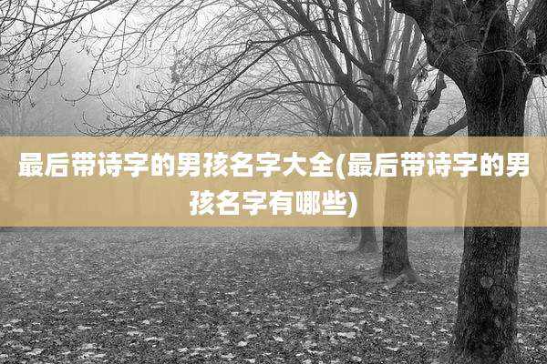 最后带诗字的男孩名字大全(最后带诗字的男孩名字有哪些)