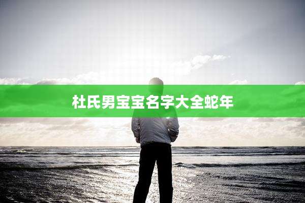 杜氏男宝宝名字大全蛇年