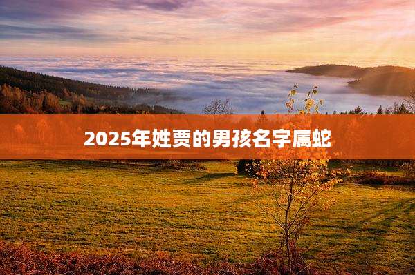 2025年姓贾的男孩名字属蛇