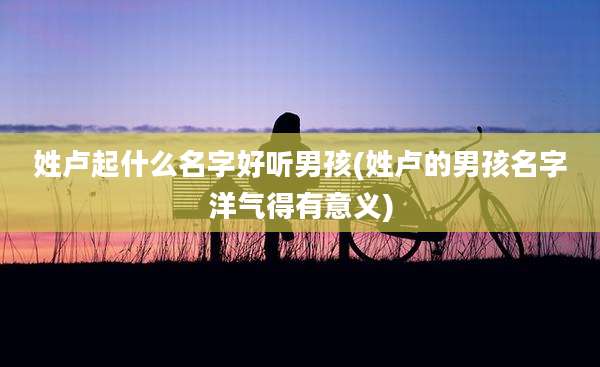 姓卢起什么名字好听男孩(姓卢的男孩名字洋气得有意义)