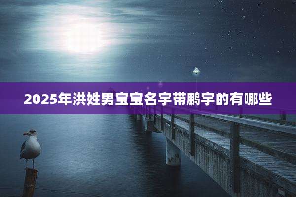 2025年洪姓男宝宝名字带鹏字的有哪些