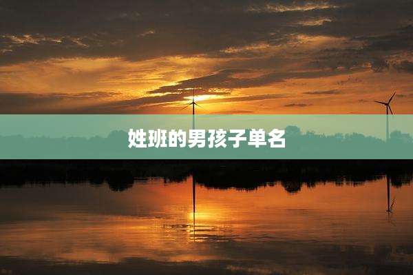 姓班的男孩子单名