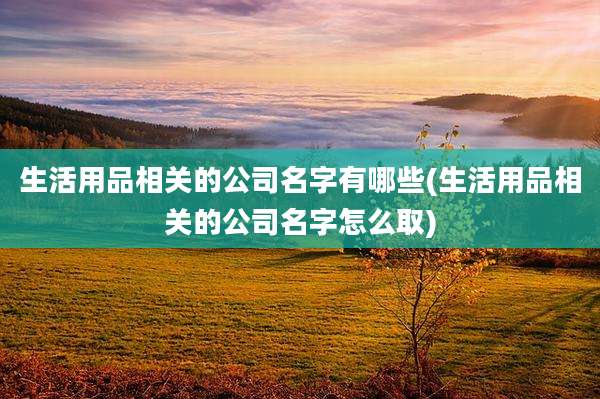 生活用品相关的公司名字有哪些(生活用品相关的公司名字怎么取)