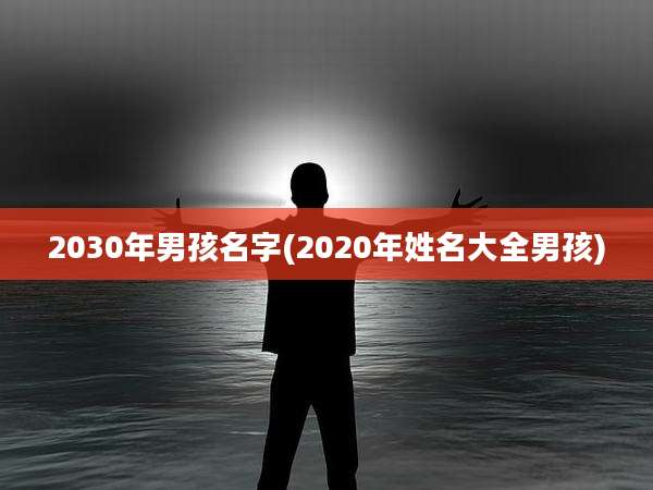 2030年男孩名字(2020年姓名大全男孩)
