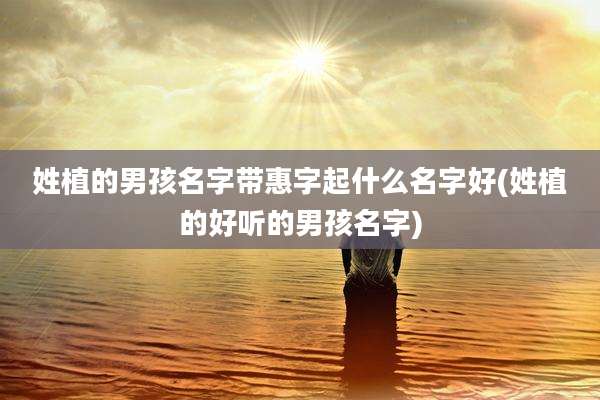 姓植的男孩名字带惠字起什么名字好(姓植的好听的男孩名字)