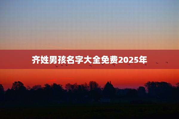 齐姓男孩名字大全免费2025年