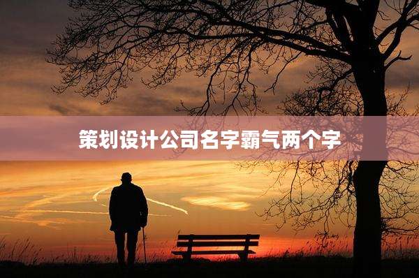 策划设计公司名字霸气两个字