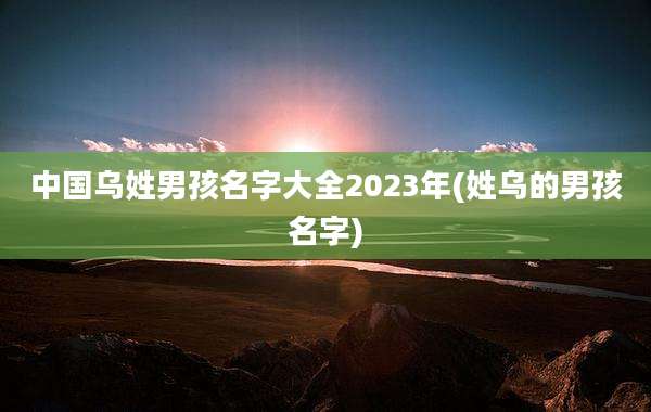 中国乌姓男孩名字大全2023年(姓乌的男孩名字)