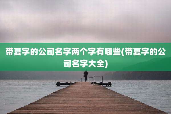 带夏字的公司名字两个字有哪些(带夏字的公司名字大全)