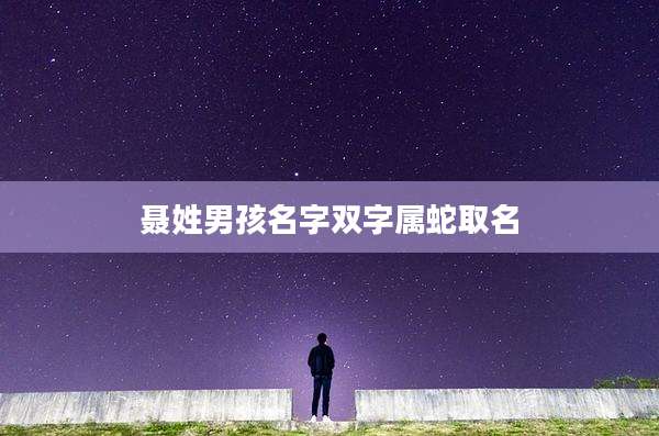聂姓男孩名字双字属蛇取名