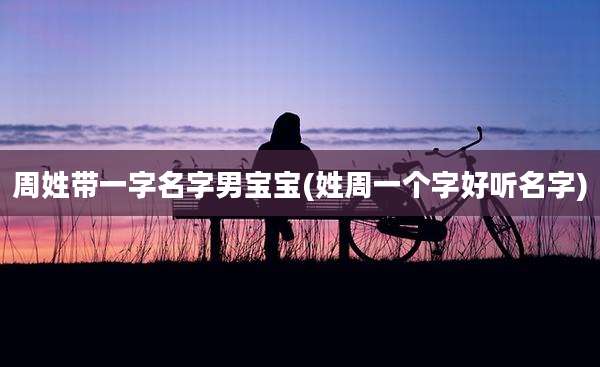 周姓带一字名字男宝宝(姓周一个字好听名字)