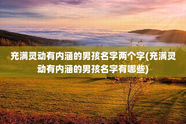 充满灵动有内涵的男孩名字两个字(充满灵动有内涵的男孩名字有哪些)