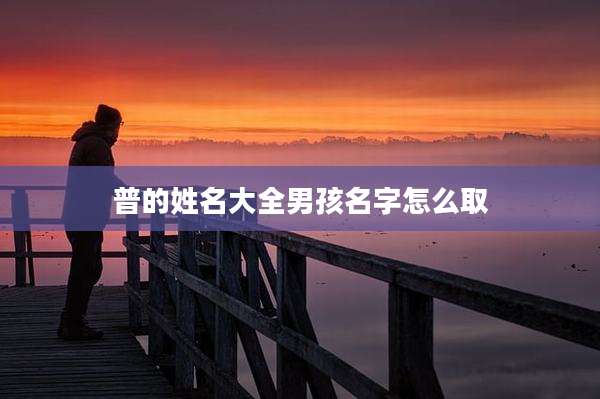 普的姓名大全男孩名字怎么取