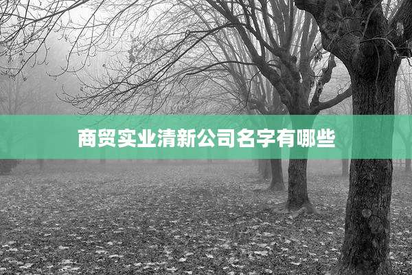 商贸实业清新公司名字有哪些