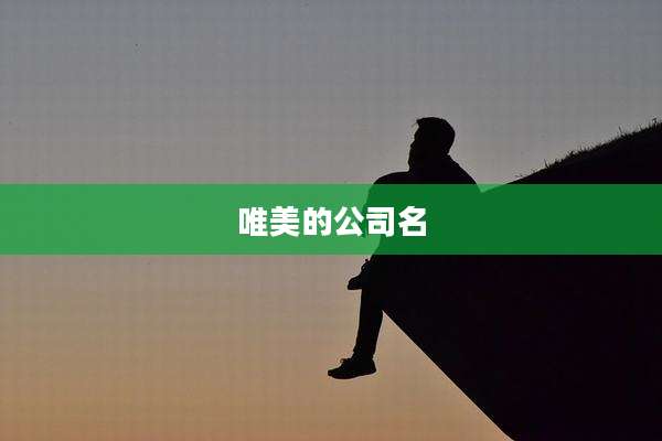 唯美的公司名