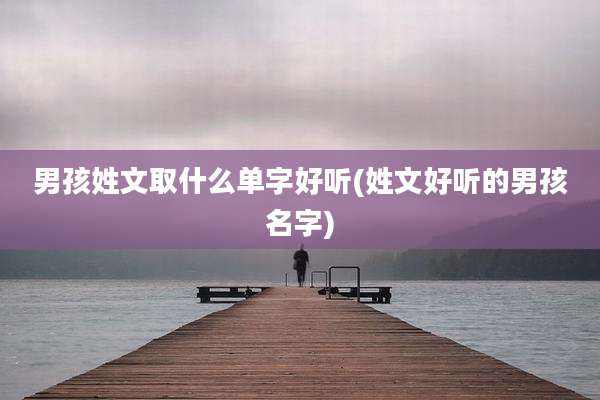男孩姓文取什么单字好听(姓文好听的男孩名字)