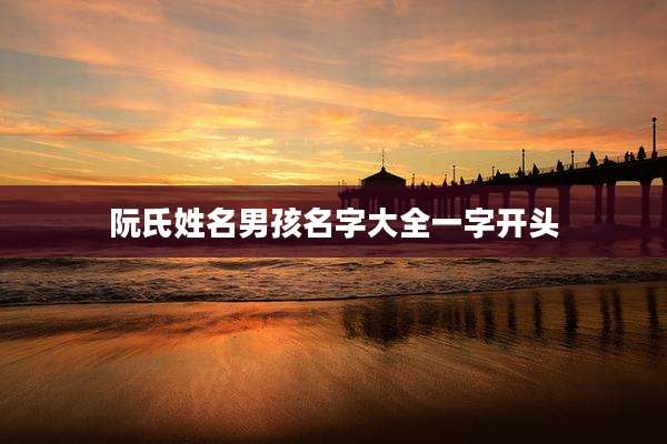 阮氏姓名男孩名字大全一字开头